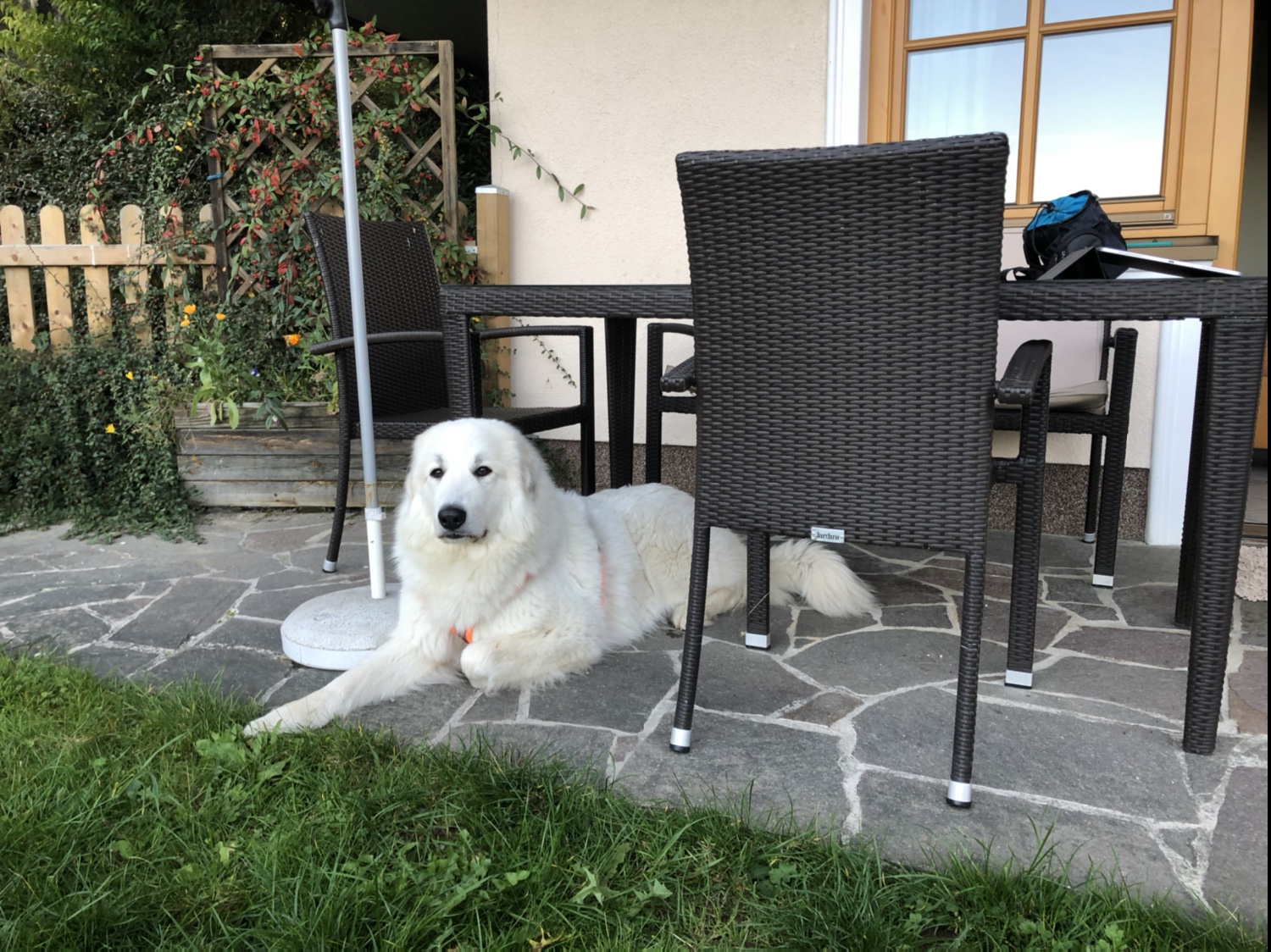 Das ist mein Platz auf der Terrasse