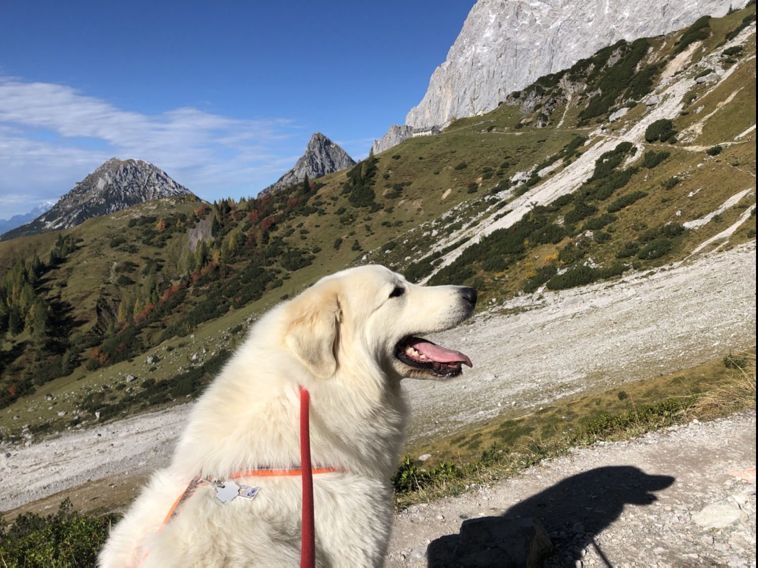 Da müssen wir noch hin, an die Dachsteinsüdwandhütte