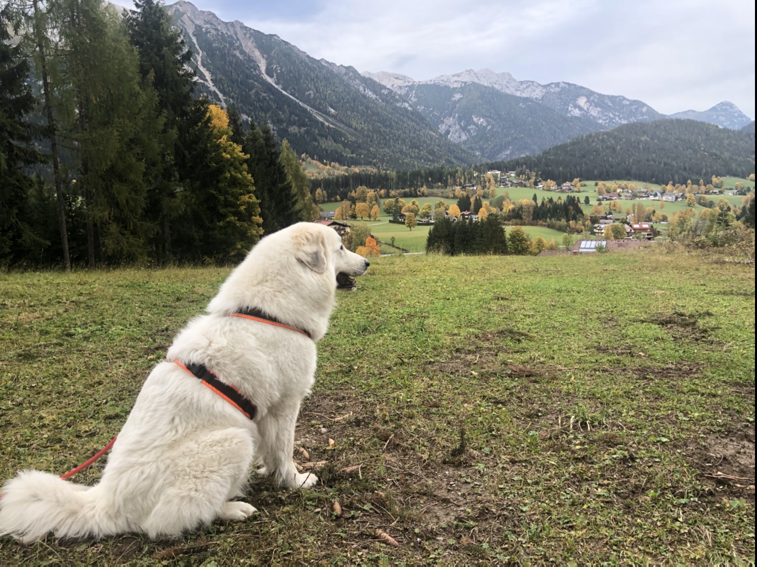 Beim Abendspaziergang