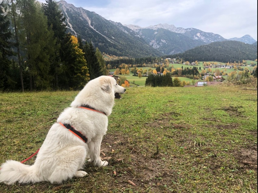 Beim Abendspaziergang
