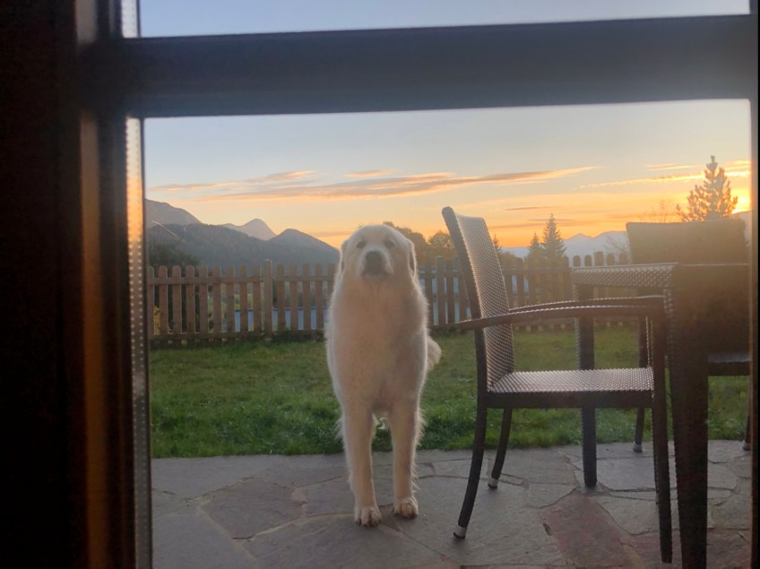 Guten Morgen!