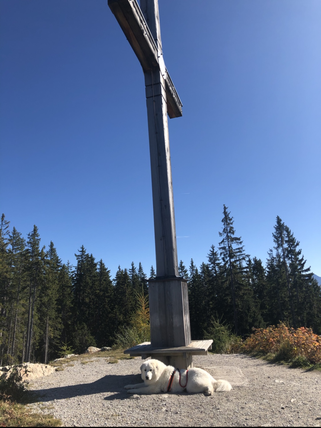 Die Bella am Gipfelkreuz vom Rittisberg (1.562 m)