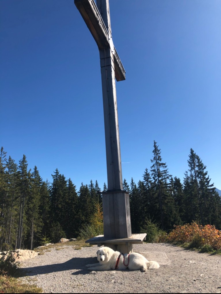 Die Bella am Gipfelkreuz vom Rittisberg (1.562 m)