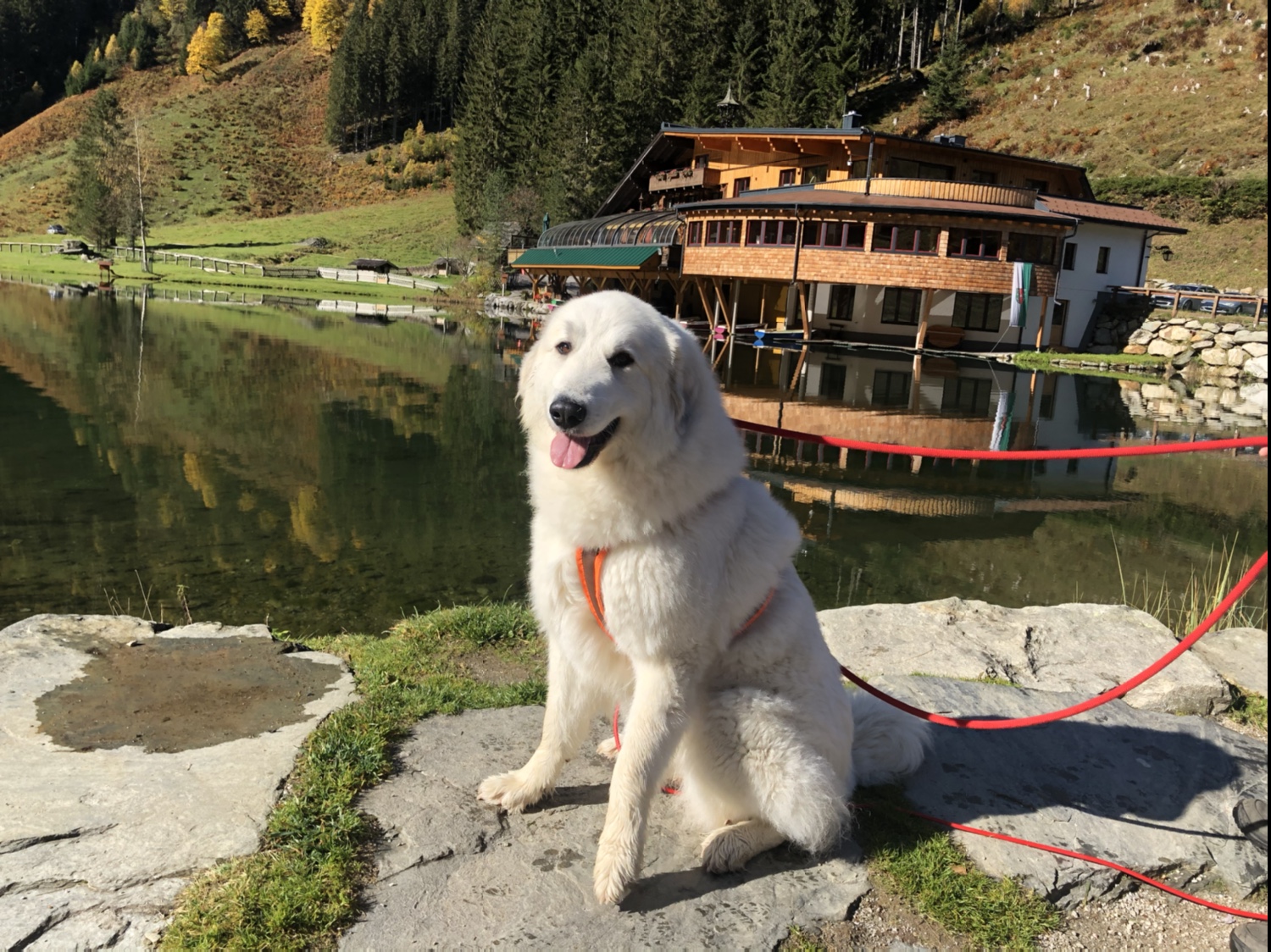 Die Bella am Steirischen Bodensee