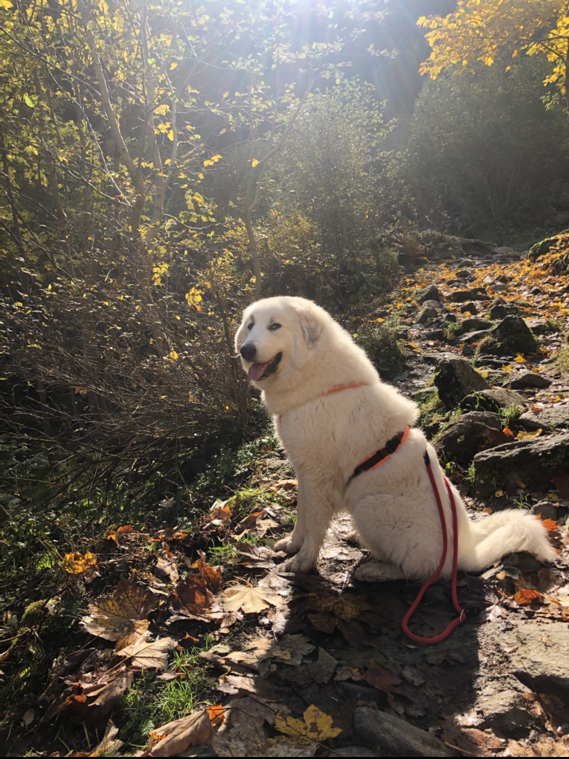 Auf dem Weg zum Wasserfall