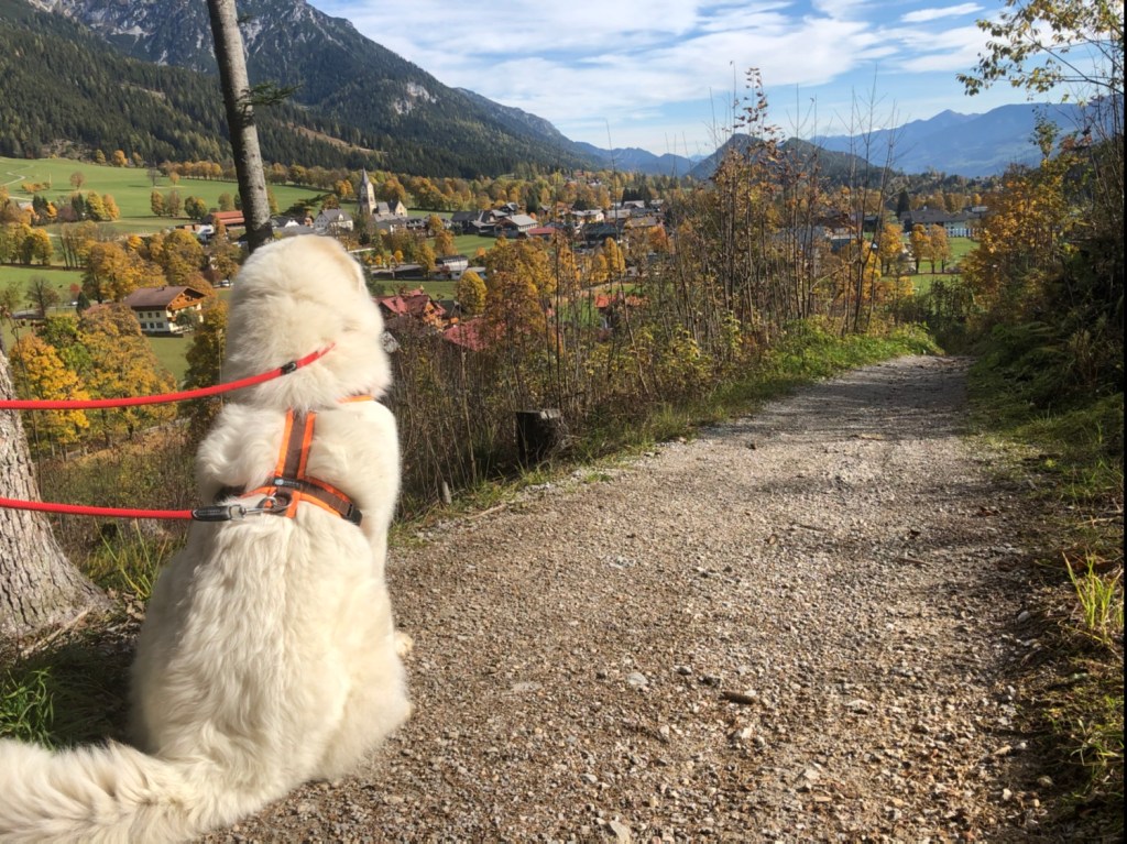 Die Bella guckt sich nochmal ihren Urlaubsort an …