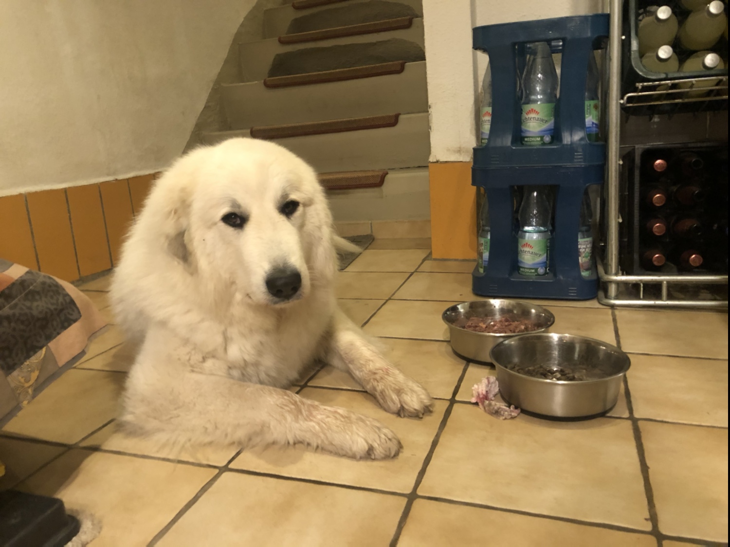 Frühstücksfuttern!