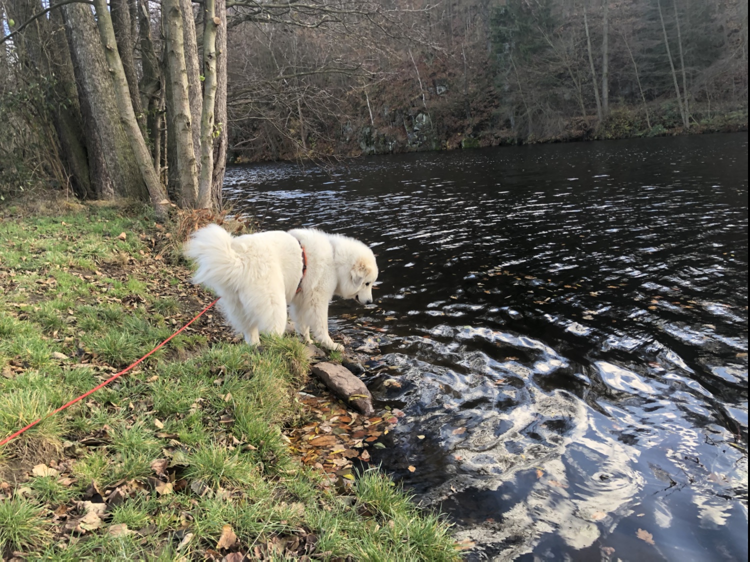 Die Bella am großen Fluß mit dem komischen Namen. Heute war ich nicht drin. Nur gucke, nicht anfassen!