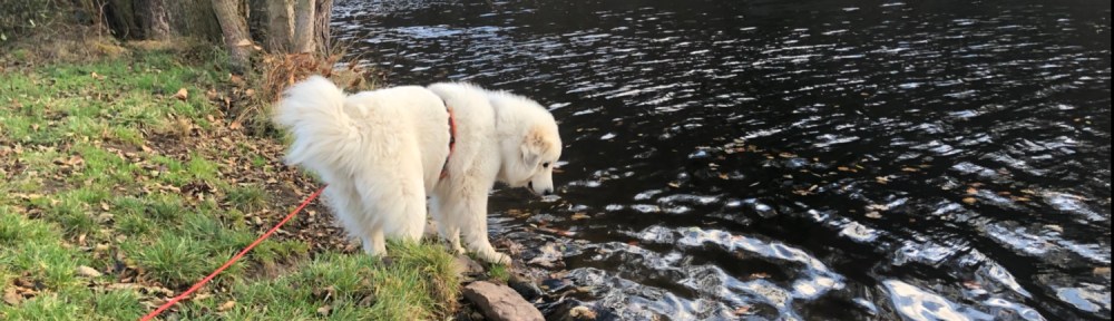 Die Bella am großen Fluß mit dem komischen Namen. Heute war ich nicht drin. Nur gucke, nicht anfassen!