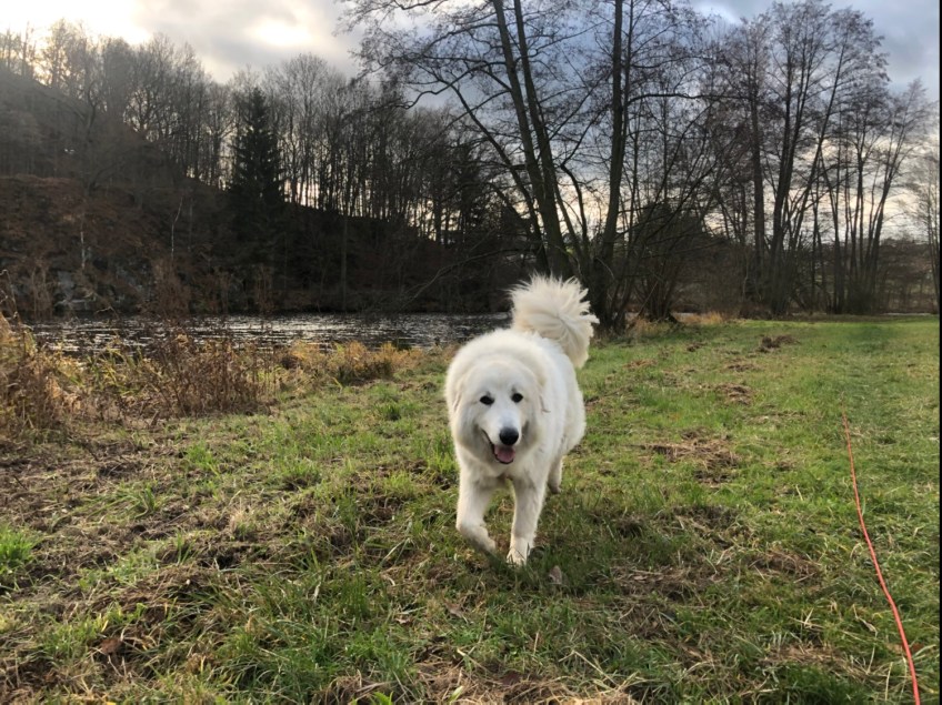 Auf der großen Wiese am großen Fluß mit dem komischen Namen