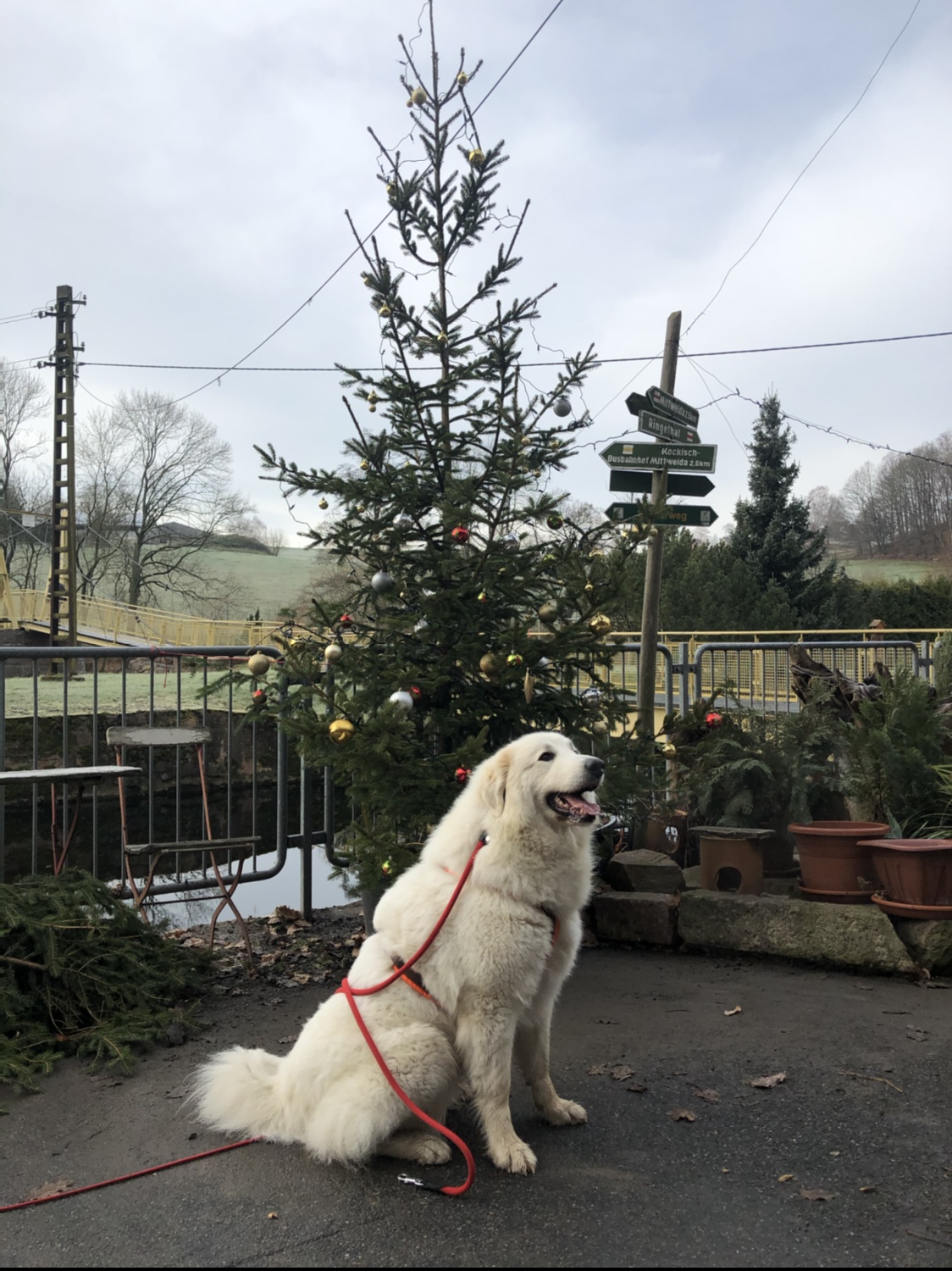 Advent, Advent, heute ist Advent