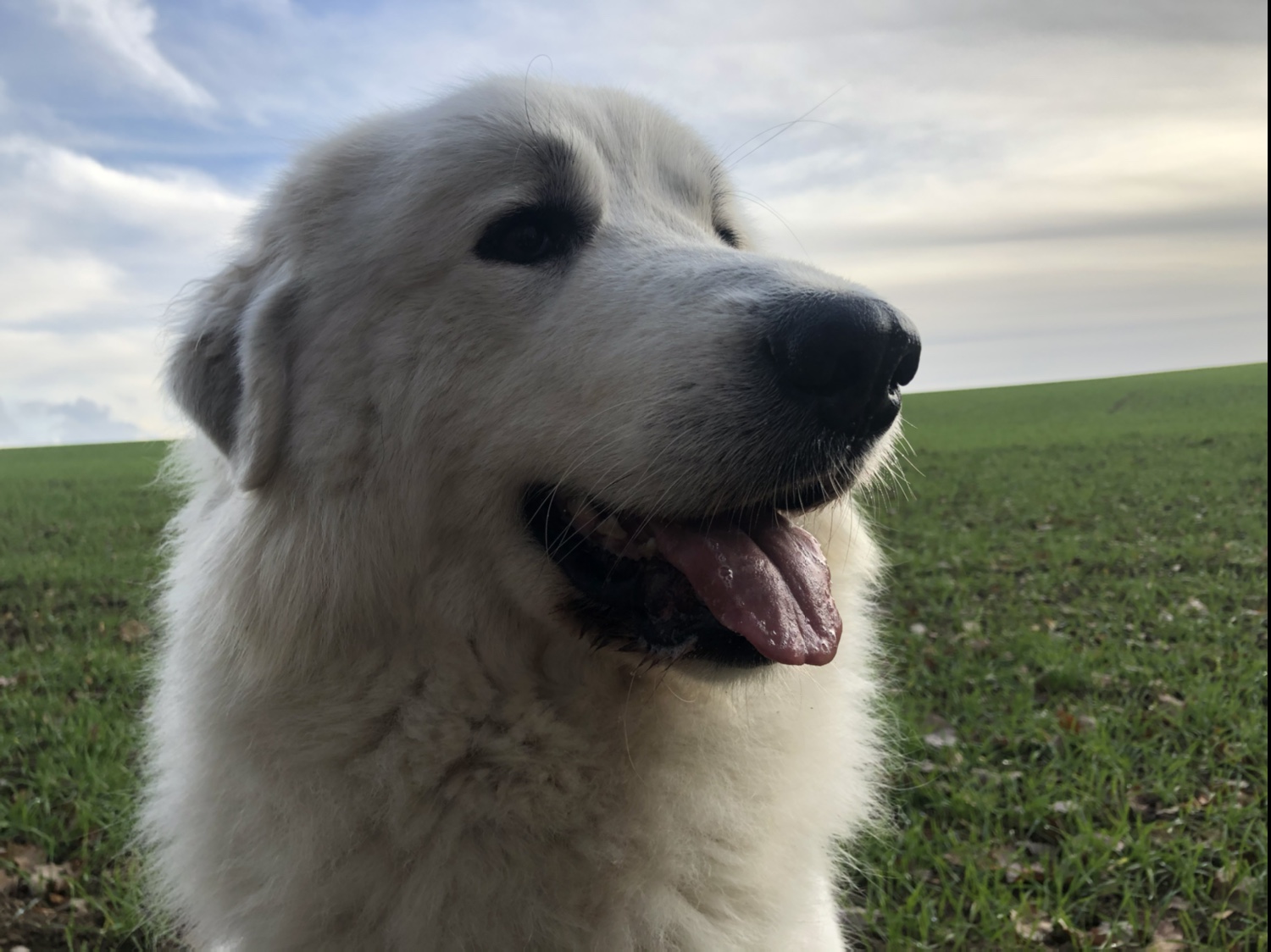 Nachmittagsspaziergang