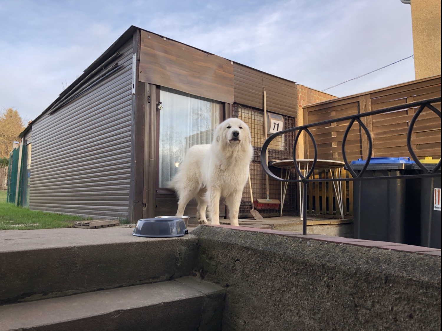 Na los! Spaziergang! Los geht’s!