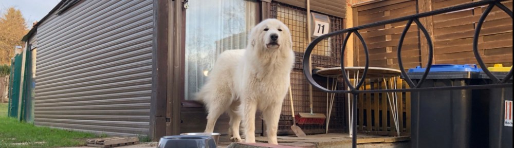 Na los! Spaziergang! Los geht’s!