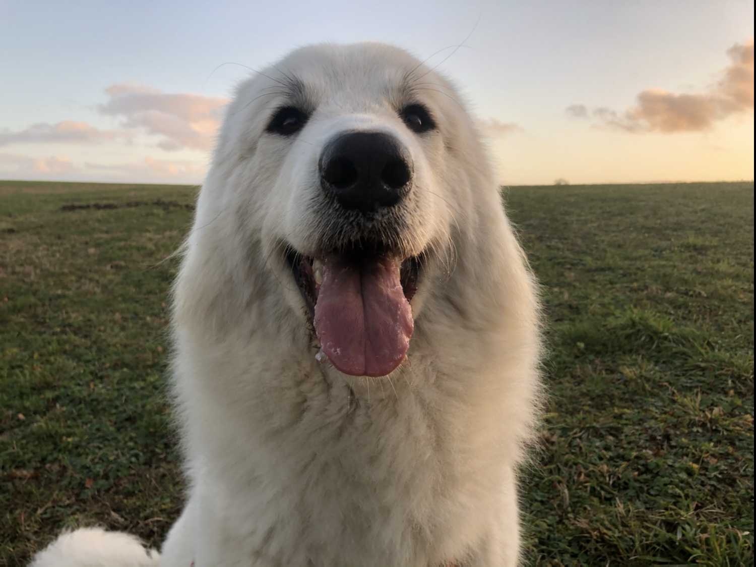 Ich muß was bekommen …!