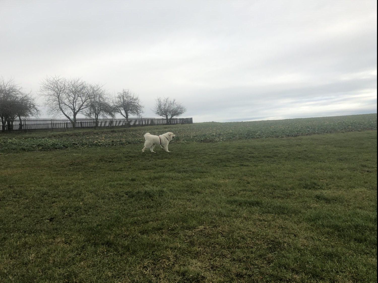 Hier ist die Bella noch ganz sauber. Aber kurz danach rieche ich gut, finde ich.