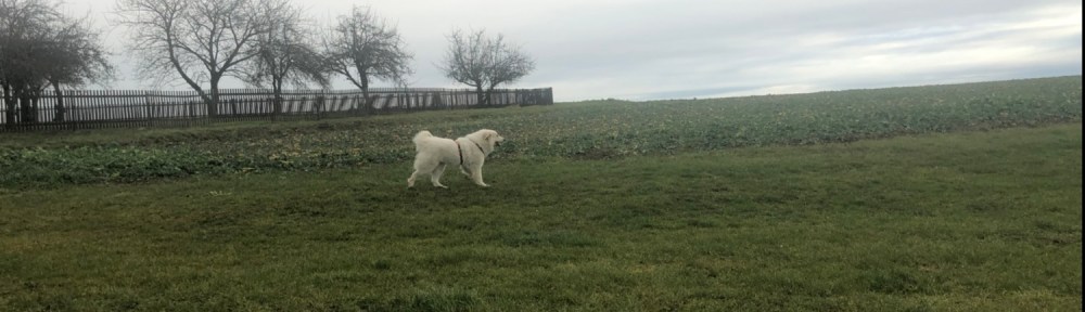 Hier ist die Bella noch ganz sauber. Aber kurz danach rieche ich gut, finde ich.