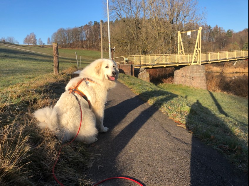 Die Bella mit ihrer lieben Sonne an der Wackelbrücke