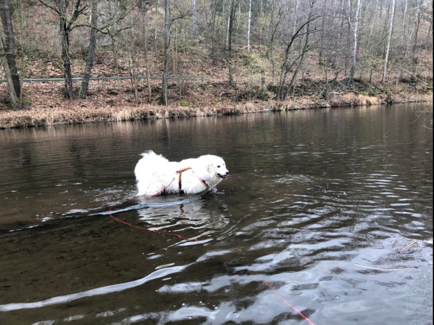 Die kleine Bella geht baden. In der Tschooo-Pauuu!