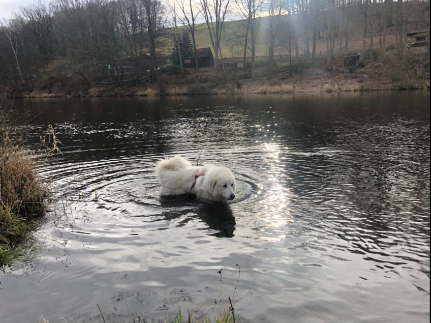 Und gleich nochmal baden, weiiil, heute ist schönes Badewetter für die Bella.