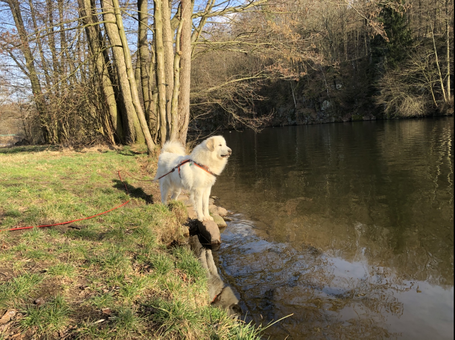 Die Bella am großen Fluß mit dem komischen Namen