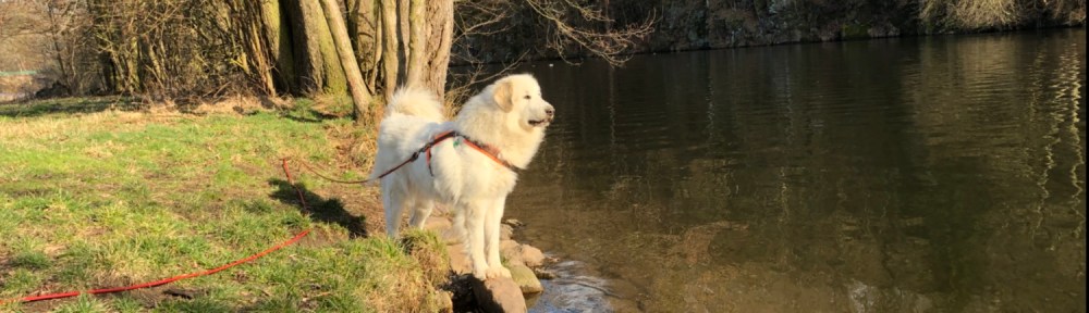 Die Bella am großen Fluß mit dem komischen Namen