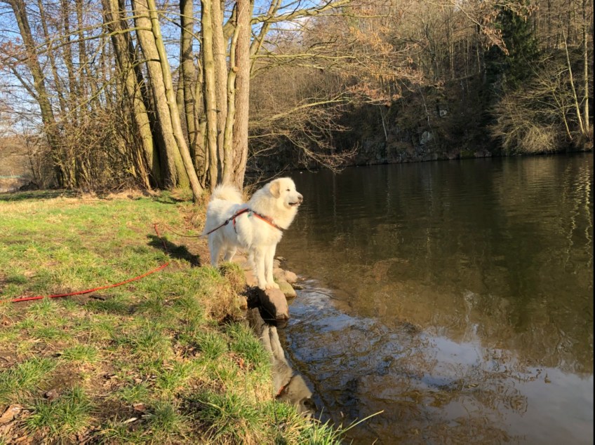 Die Bella am großen Fluß mit dem komischen Namen