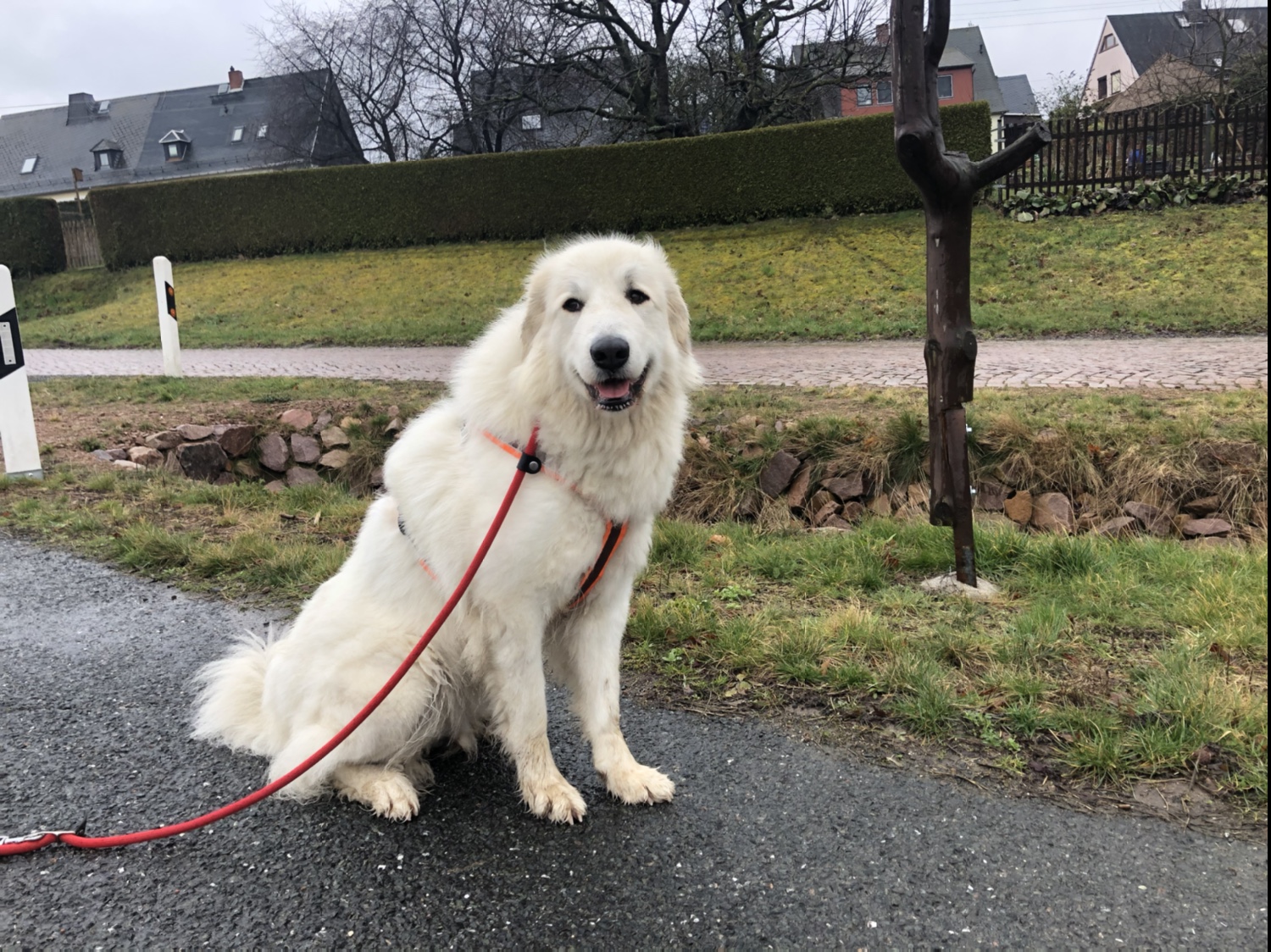 Wir spazieren weiter