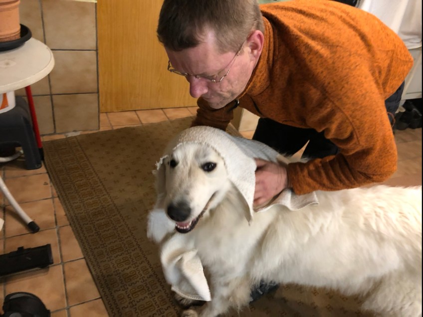 Mein großer Mensch rubbelt mein Pyriköpfchen trocken