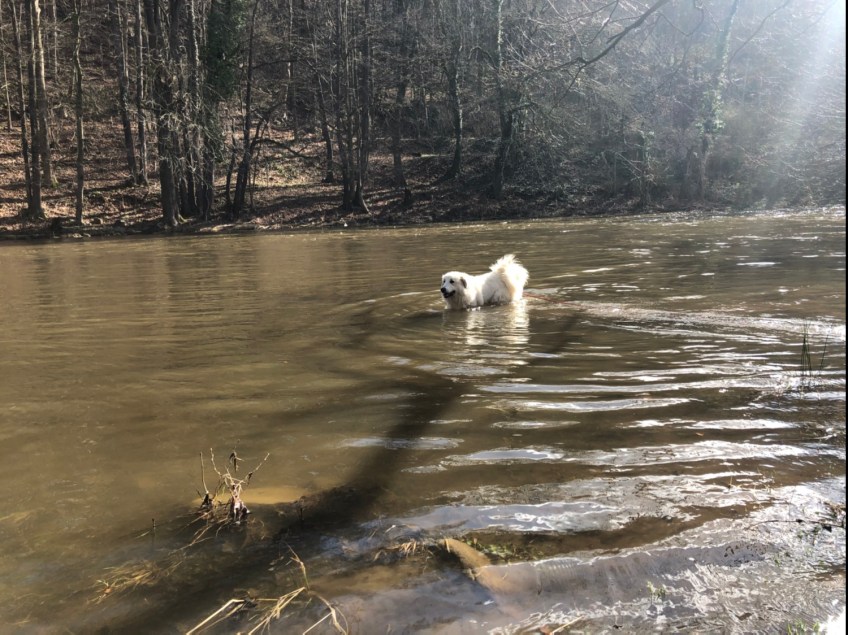 Und nochmal baden