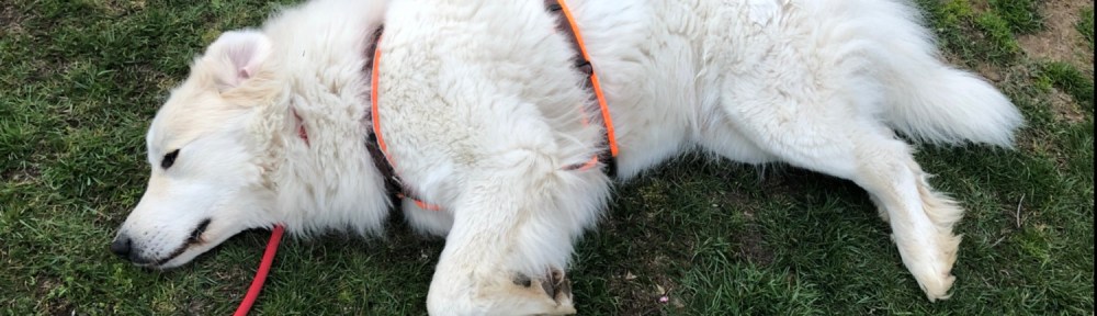 Noch schlummert sie …