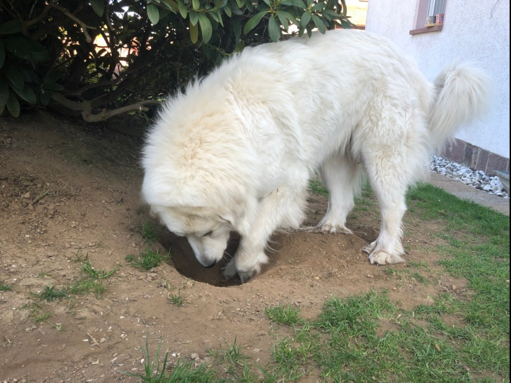 Und so wird das gemacht.