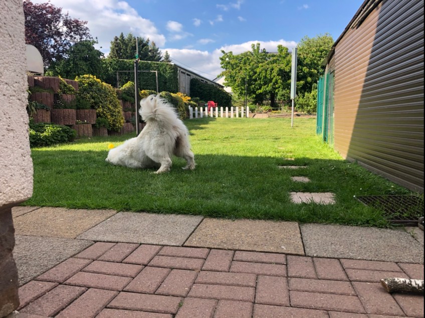 Gesicht sauberputzen …