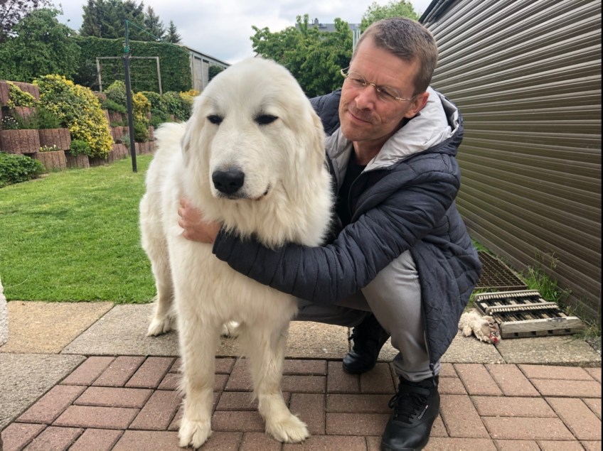 Mein großer Mensch ist wieder da …