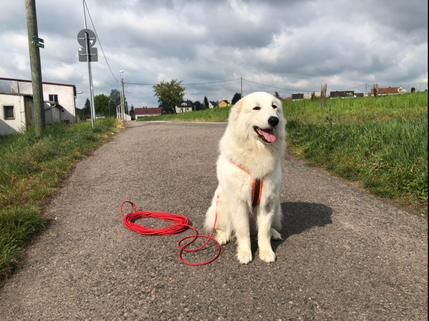 Los geht’s! Sonntagsspaziergang!