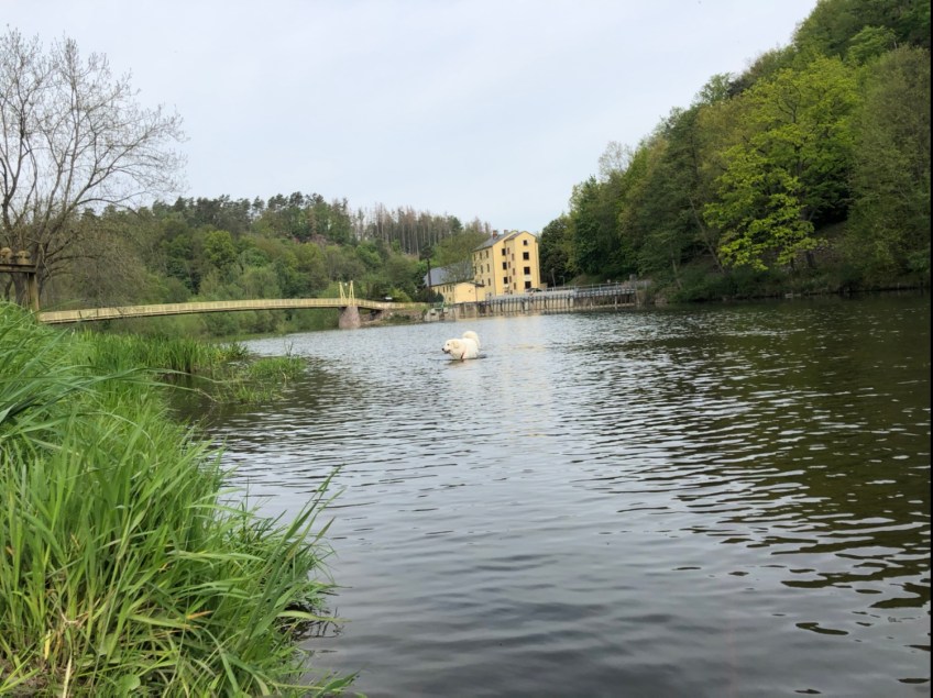 … und 3, an der Wackelbrücke