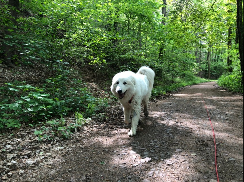 Auf dem Weg nach Ringethal