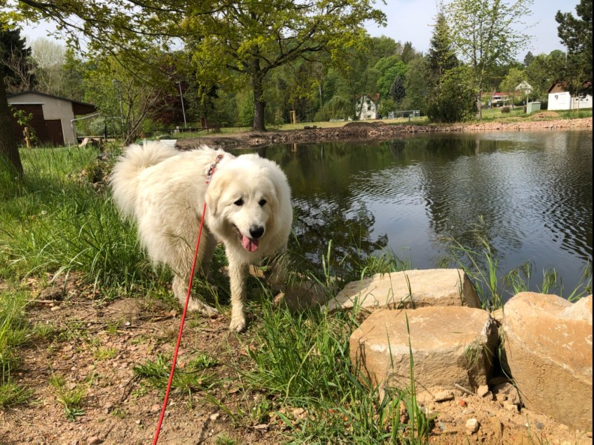 Die kleine Bella in Ringethal …