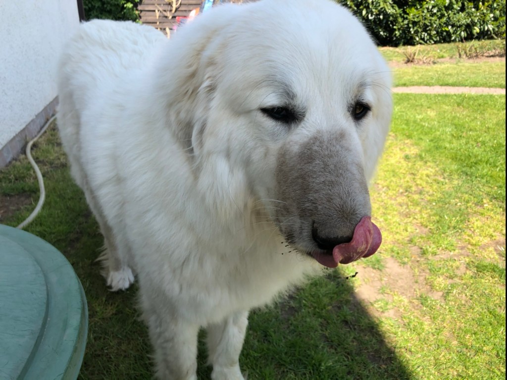 Die Bella hat sich schön gemacht