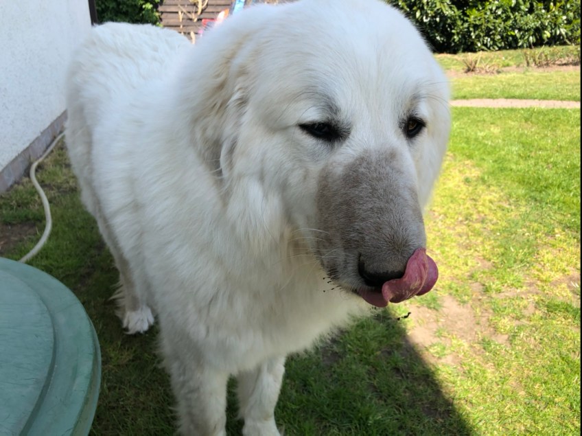 Die Bella hat sich schön gemacht