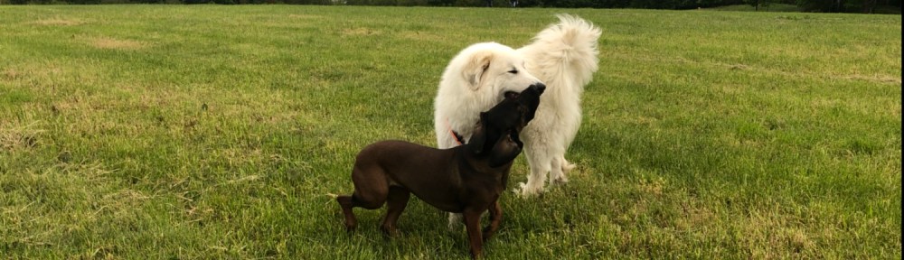 Die Bella und die Cora