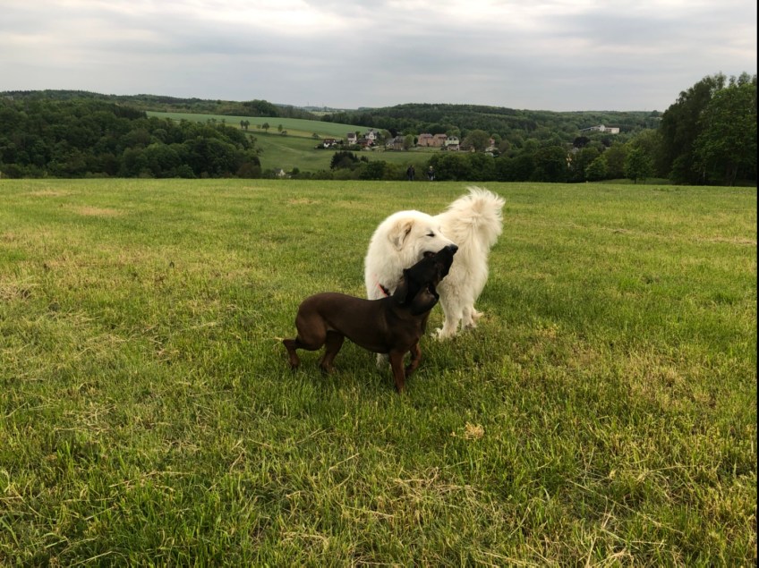 Die Bella und die Cora