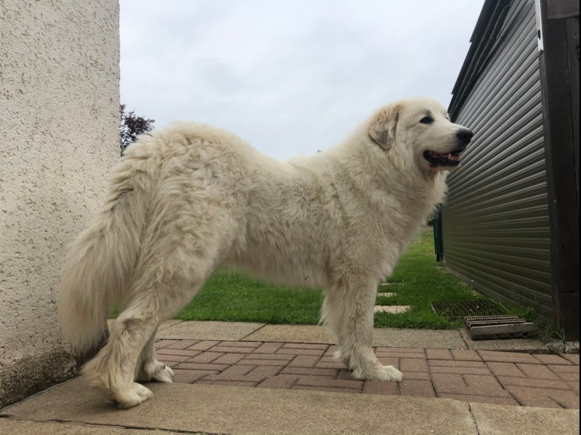 Ich bin jetzt groß. Aber noch ziemlich klein.