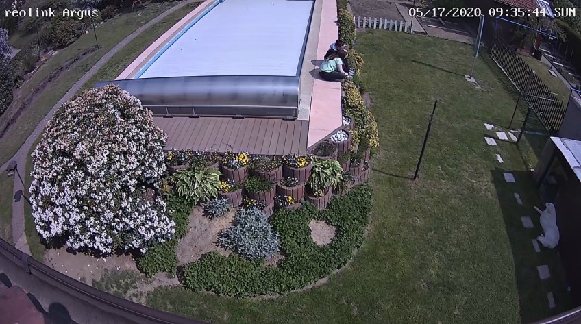 Mit meinen Menschenschwestern auf meinen großen Mensch warten