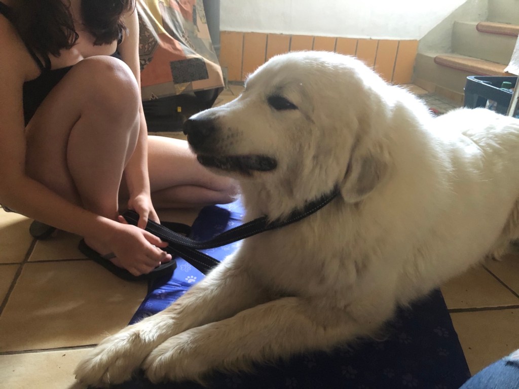 … hmm 🤔, paßt!