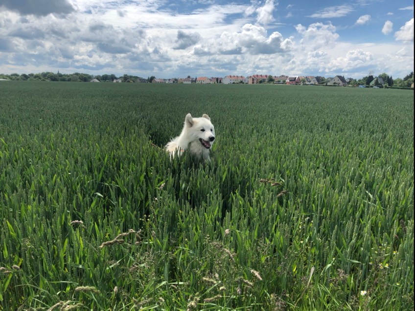 Da bin ich!
