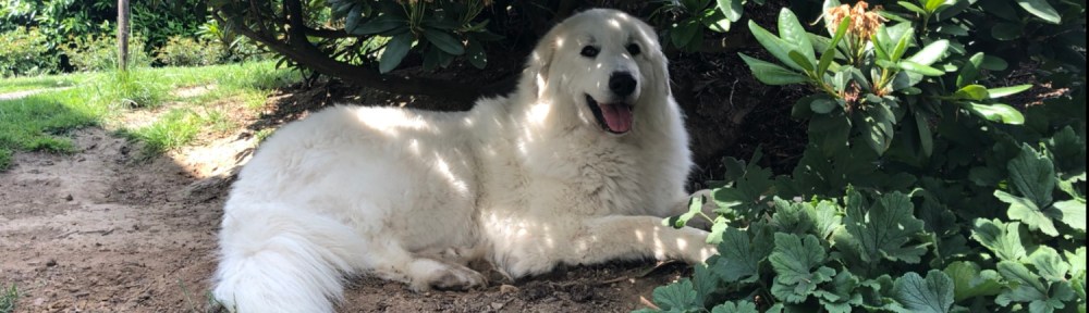 Mein kühler Liegeplatz