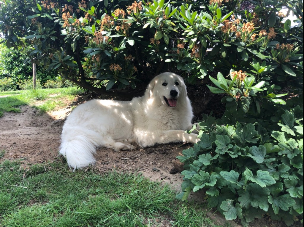 Mein kühler Liegeplatz