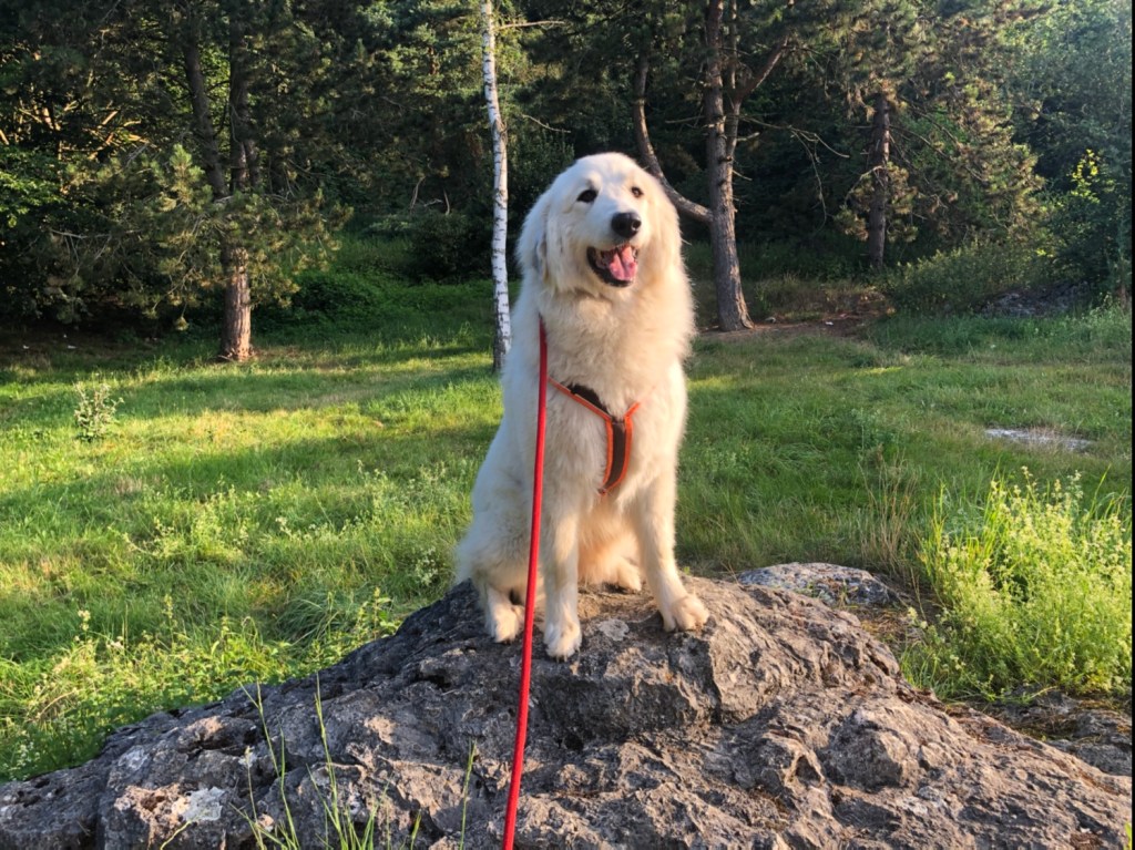 Pausenrast! An der Autobahn.