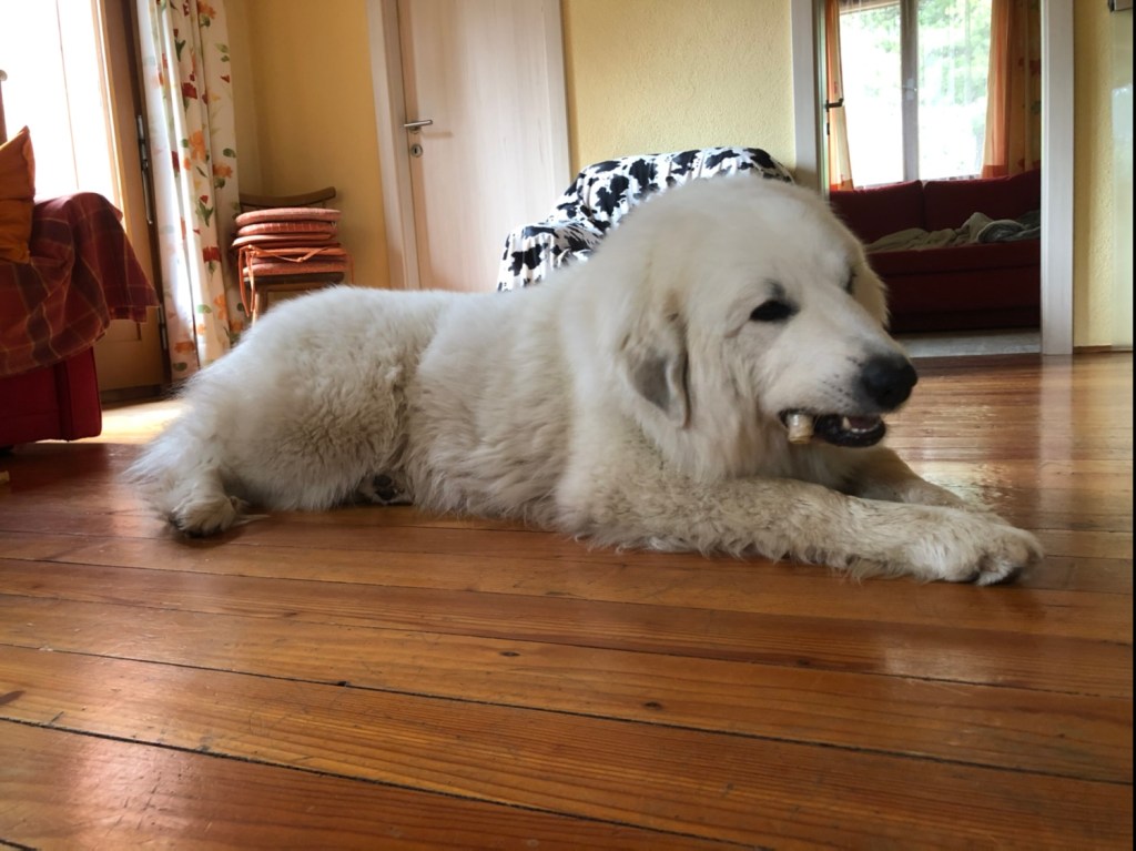 Immerhin wird etwas kleines geknabbert